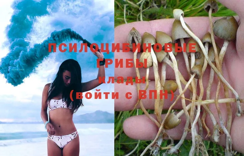 сайты даркнета формула  купить  цена  Наволоки  Псилоцибиновые грибы Psilocybe 